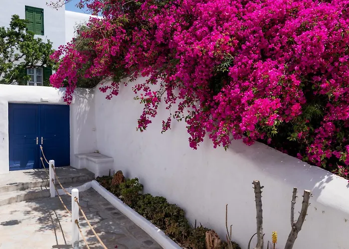 Appartement Olive Tree Semi-basement *