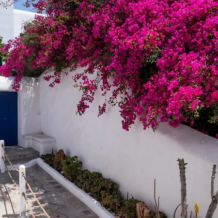 Lejlighed Olive Tree Semi-basement *